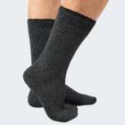 Mens Thermal Socks fleecy - anthracite - OneSize 41/46 - Set of 1